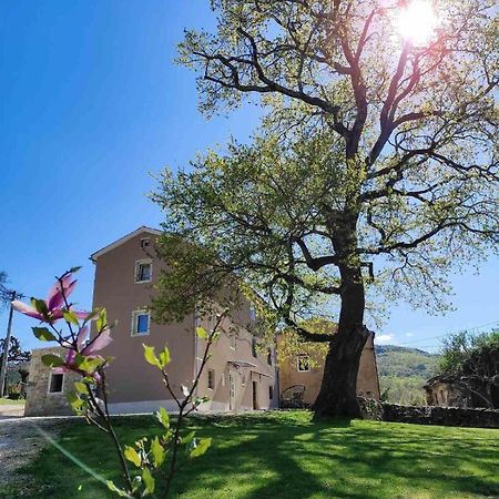 Vila Casa Quieto Motovun Exteriér fotografie