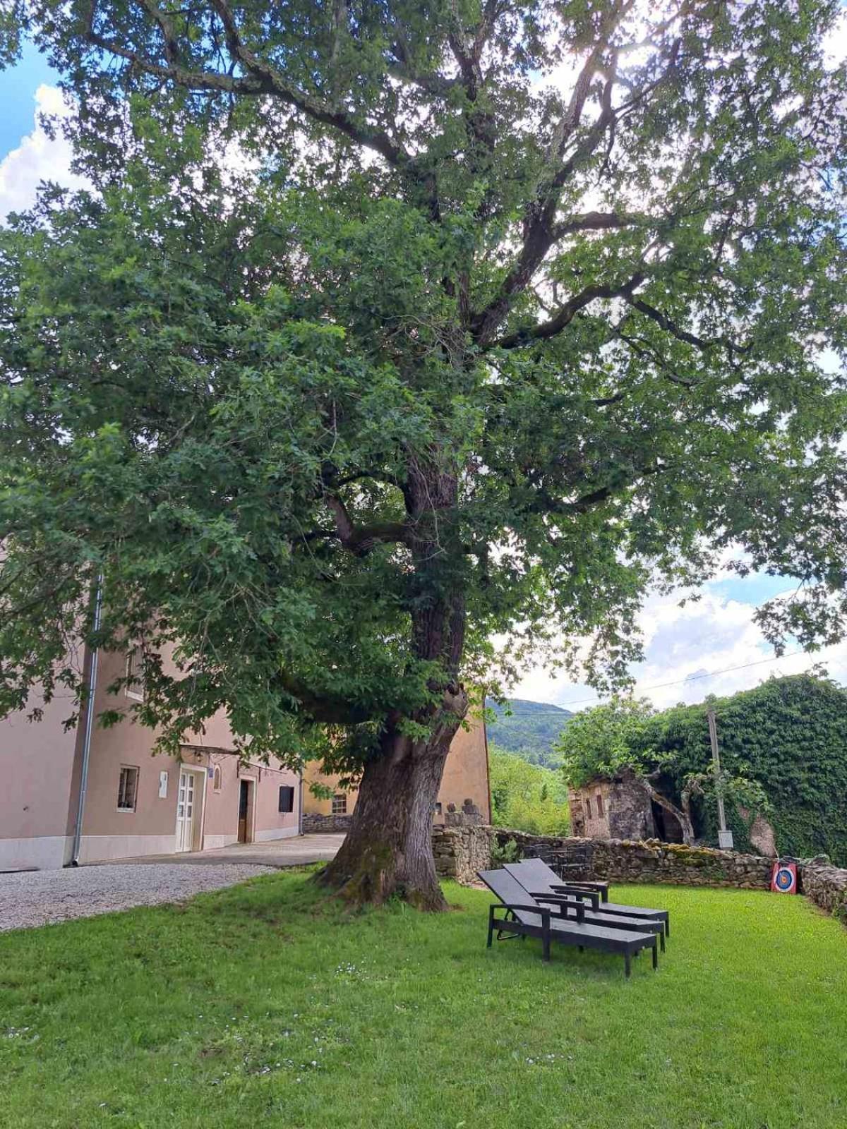 Vila Casa Quieto Motovun Exteriér fotografie